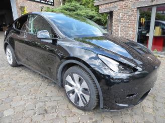 Tesla Model Y  picture 4