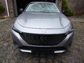 Peugeot 308 SW Allure picture 3
