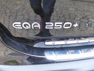 Mercedes EQA 250+ picture 6