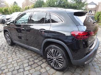 Mercedes EQA 250+ picture 7