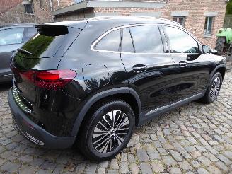 Mercedes EQA 250+ picture 5