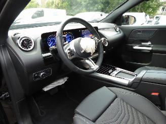 Mercedes EQA 250+ picture 13