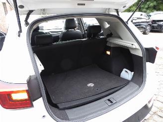 MG ZS EV Luxury picture 25
