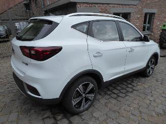 MG ZS EV Luxury picture 6
