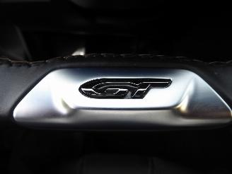 Peugeot 3008 GT picture 19