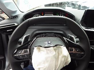 Peugeot 208 Active Pack picture 12