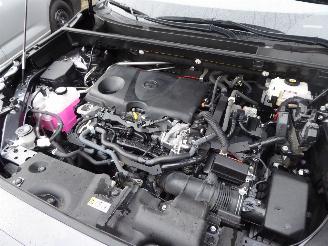 Toyota Rav-4 2.5 Hybrid Style Selection Auto picture 26