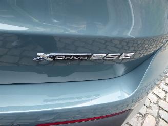BMW X1 25 e xDrive picture 7