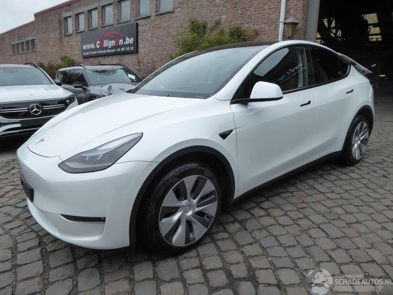 Tesla Model Y Long Range Dual AWD