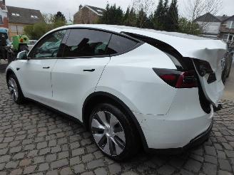 Tesla Model Y Long Range Dual AWD picture 7