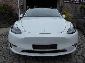 Tesla Model Y Long Range Dual AWD picture 2