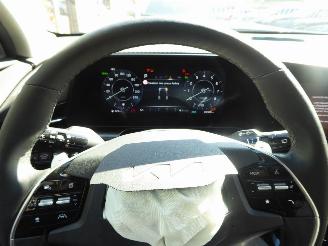 Kia Niro Plug-in Hybrid picture 16