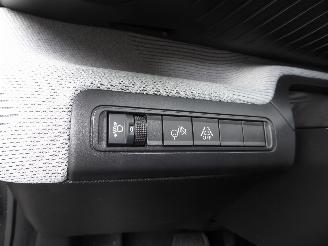 Citroën C3 ë 113 MAX picture 11