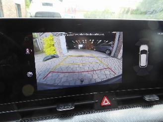 Kia Sportage Plug-in Hybrid 4WD picture 30