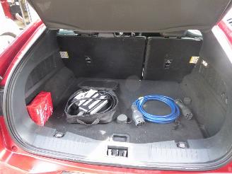 Ford Mustang Mach-e Premium picture 10