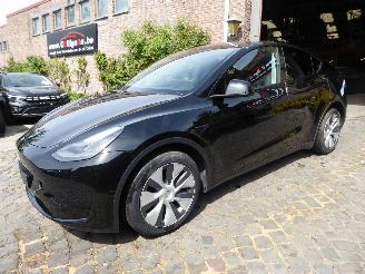 Schadeauto Tesla Model Y  2024/3