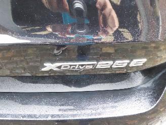 BMW X1 25 e xDrive xLine picture 8