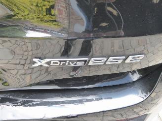 BMW X1 25 e xDrive Plug-in picture 6