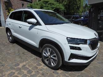 Skoda Karoq Style picture 4
