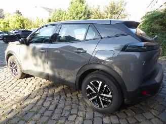 Peugeot 2008 Hybrid Active picture 8
