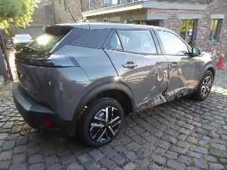 Peugeot 2008 Hybrid Active picture 4