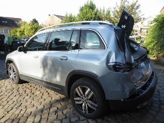 Mercedes EQB 250+ picture 8
