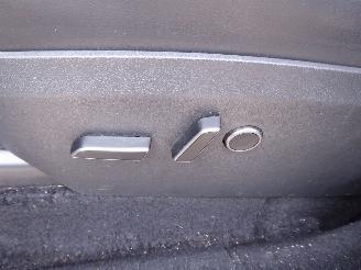 Tesla Model Y  picture 13