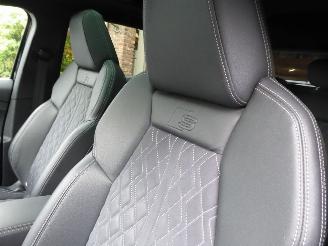 Audi Q4 e-tron S Line picture 13