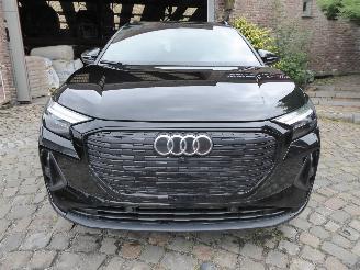 Audi Q4 e-tron S Line picture 2