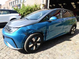 škoda osobní automobily BYD Dolphin  2024/9