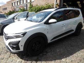 skadebil auto Dacia Jogger Expression 2025/9