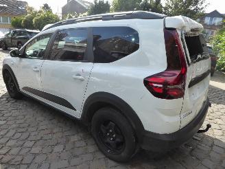 Dacia Jogger Expression picture 9