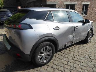 Peugeot 2008 e- Active picture 6