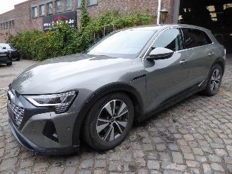 Avarii autoturisme Audi Q8 e-tron 50 quattro advanced 2024/8