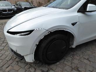 Tesla Model Y RWD picture 2
