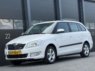 ocasión turismos Skoda Fabia 1.2 TDI Greenline 2011/10
