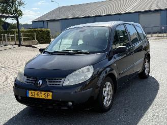 škoda osobní automobily Renault Grand-scenic 2.0 16v 7-PERS AUTOMAAT 2005/9
