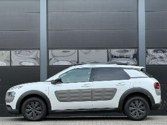 Citroën C4 cactus 1.6 BlueHDi Navi Camera picture 6
