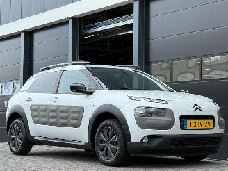Citroën C4 cactus 1.6 BlueHDi Navi Camera picture 2