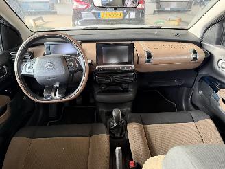 Citroën C4 cactus 1.6 BlueHDi Panorama Camera picture 5