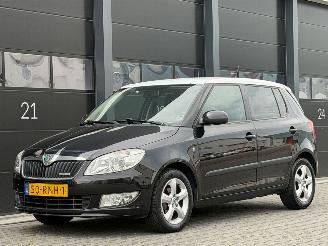 Tweedehands auto Skoda Fabia 1.2 TDI Greenline 2011/7
