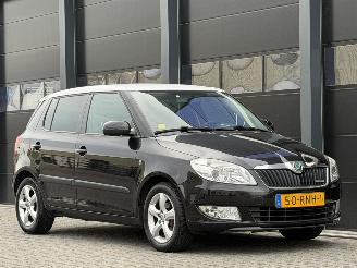 Skoda Fabia 1.2 TDI Greenline picture 2