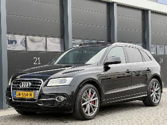 Ocazii autoturisme Audi SQ5 3.0 TDI Quattro Pano B&O Camera 2015/5