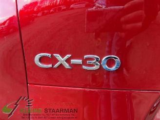 Mazda CX-30 CX-30 (DM), SUV, 2019 2.0 e-SkyActiv X 186 16V picture 23