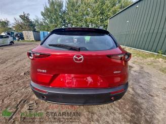 Mazda CX-30 CX-30 (DM), SUV, 2019 2.0 e-SkyActiv-G 122 16V picture 7