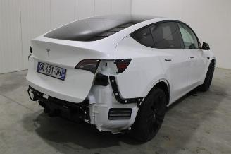 Auto incidentate Tesla Model Y  2022/11