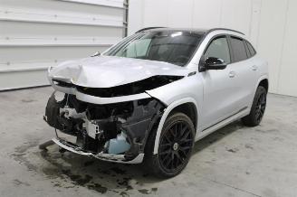 škoda osobní automobily Mercedes EQA  2022/4