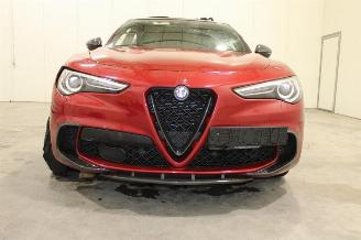 Alfa Romeo Stelvio  picture 21