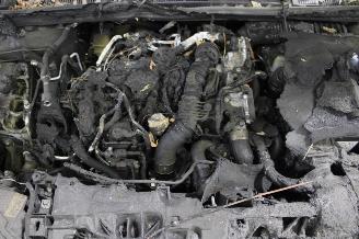 Renault Mégane Megane picture 16
