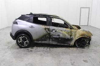 Peugeot 2008  picture 3